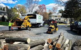 Best Firewood Processing and Delivery  in Grover Beach, CA