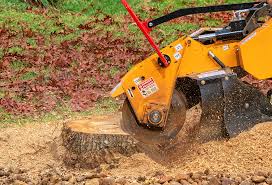 Best Lawn Disease Treatment  in Grover Beach, CA